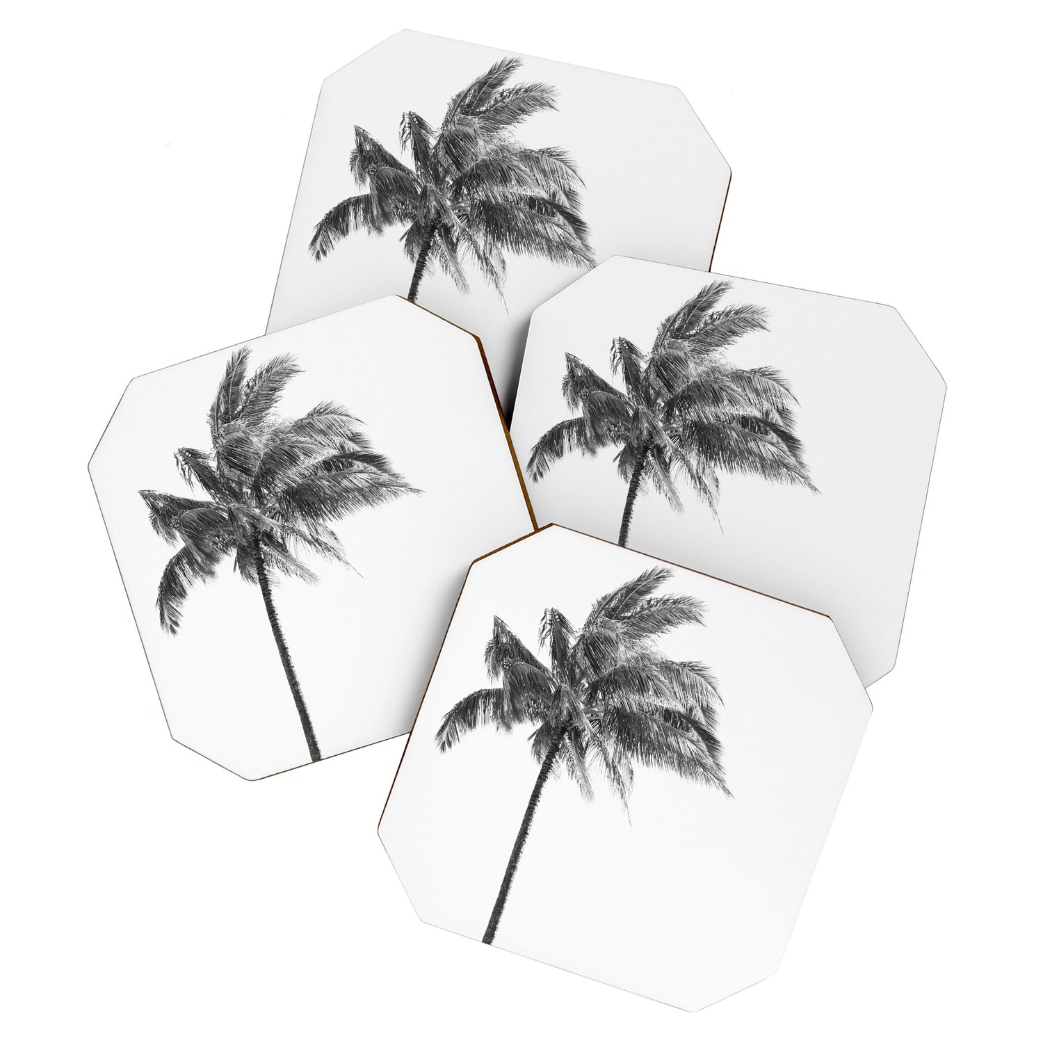 Maui Palm Tree - Black and White Photography Coaster Gallery Image 1