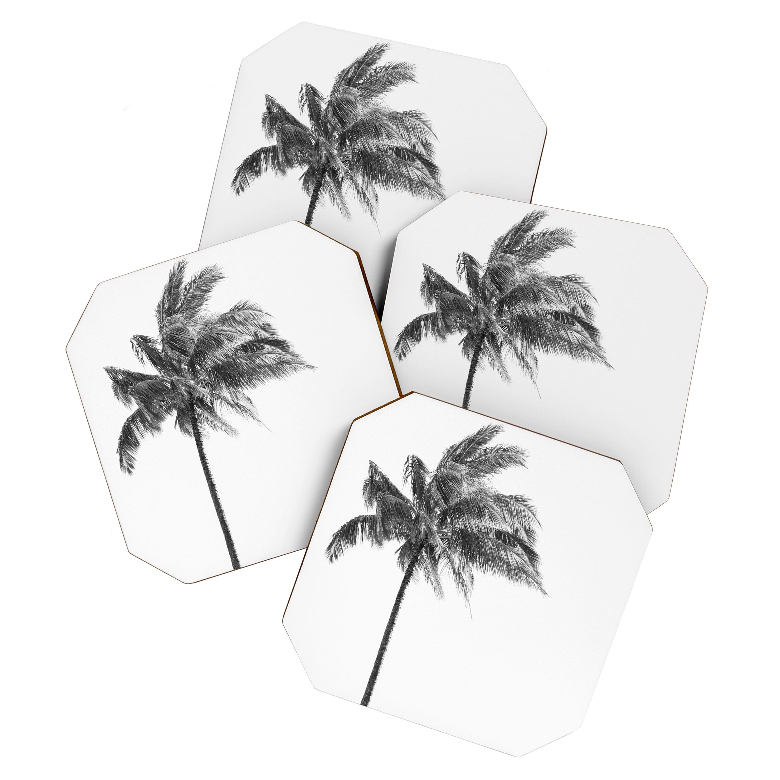 Maui Palm Tree - Black and White Photography Coaster Gallery Image 1