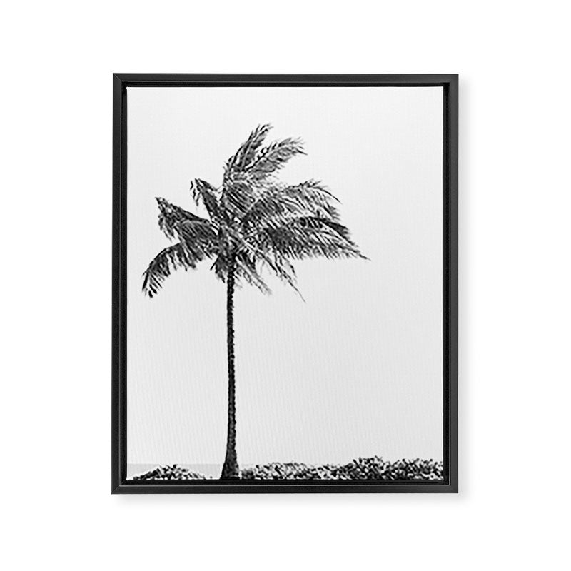 Maui Palm Tree - Black and White Photography Framed Canvas Print Gallery Image 6