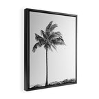 Maui Palm Tree - Black and White Photography Framed Canvas Print Gallery Image 2