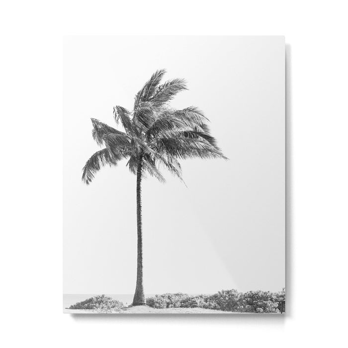 Maui Palm Tree - Black and White Photography Metal Print Gallery Image 1