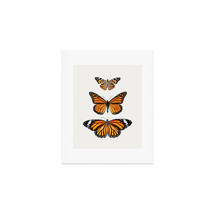 Monarch Butterflies III Art Print Gallery Image 1
