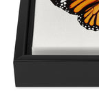 Monarch Butterflies III Framed Canvas Print Gallery Image 3
