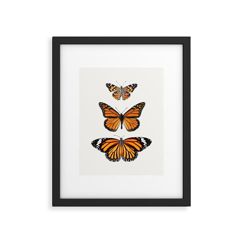 Monarch Butterflies III Framed Art Print Gallery Image 5