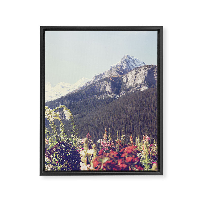Mountain Wildflowers - Banff Nature, Landscape Photography Framed Canvas Print Gallery Image 6