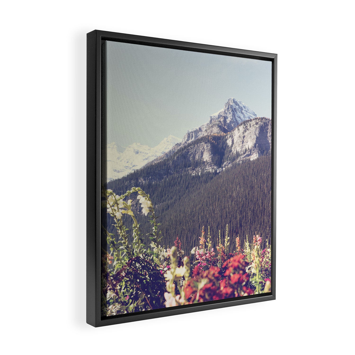Mountain Wildflowers - Banff Nature, Landscape Photography Framed Canvas Print Gallery Image 2