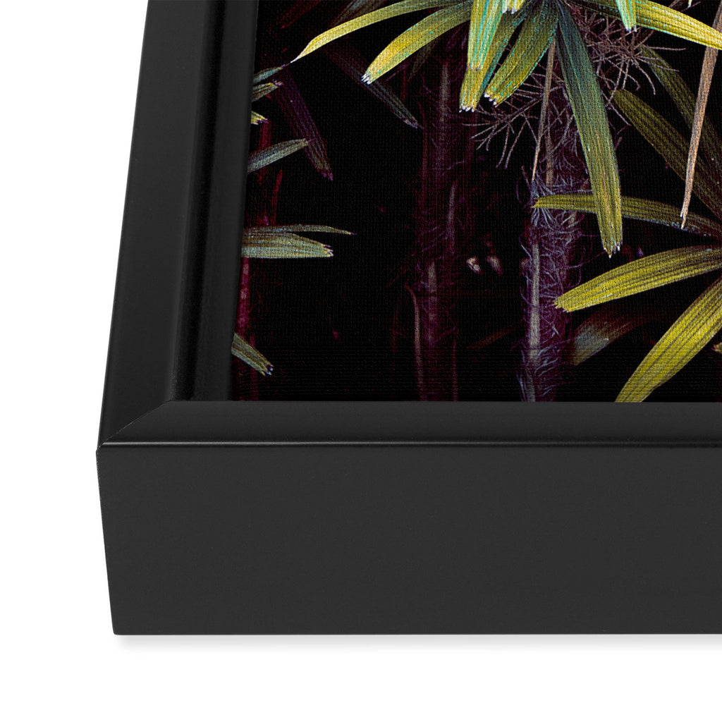 Neon Jungle - Tropical Nature Photography Framed Canvas Print Gallery Image 3