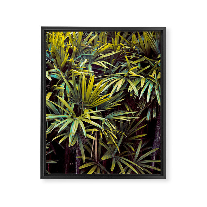 Neon Jungle - Tropical Nature Photography Framed Canvas Print Gallery Image 6