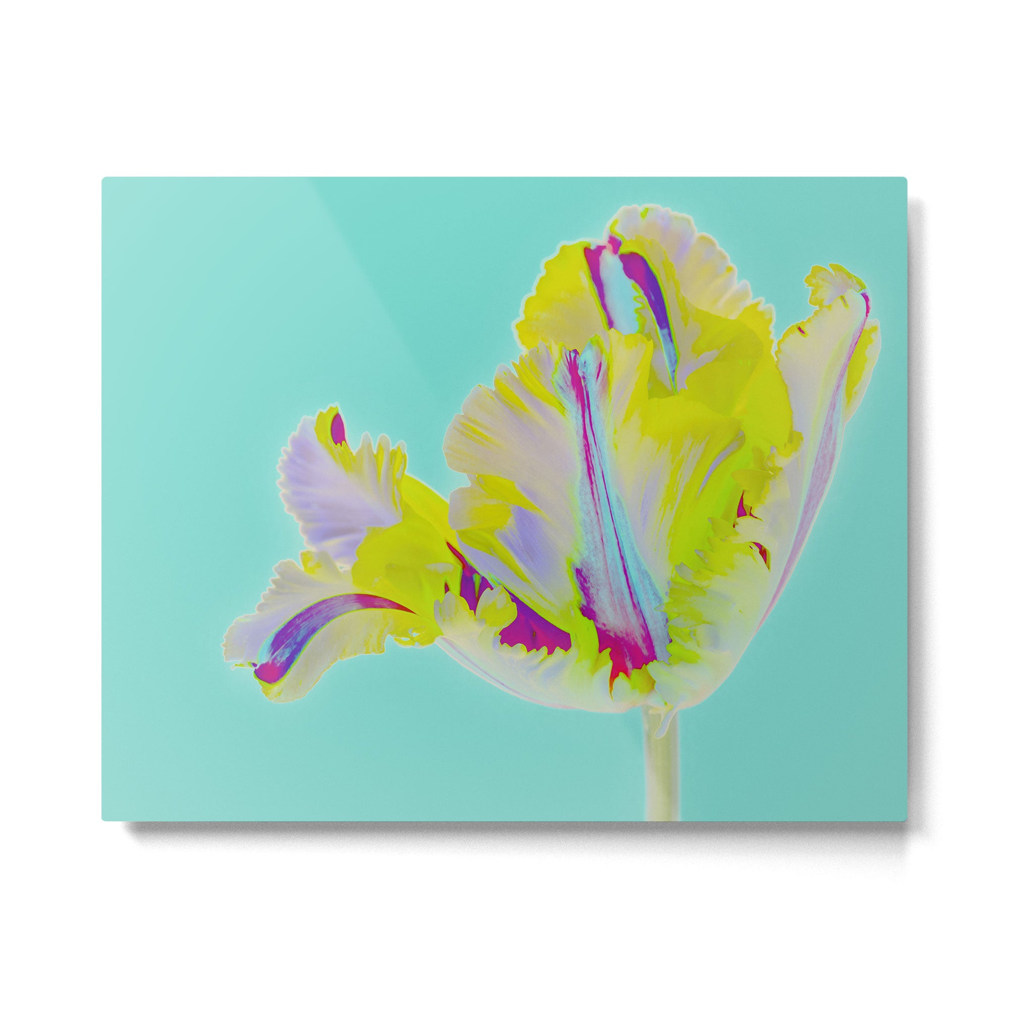 Neon Tulip Metal Print Gallery Image 4