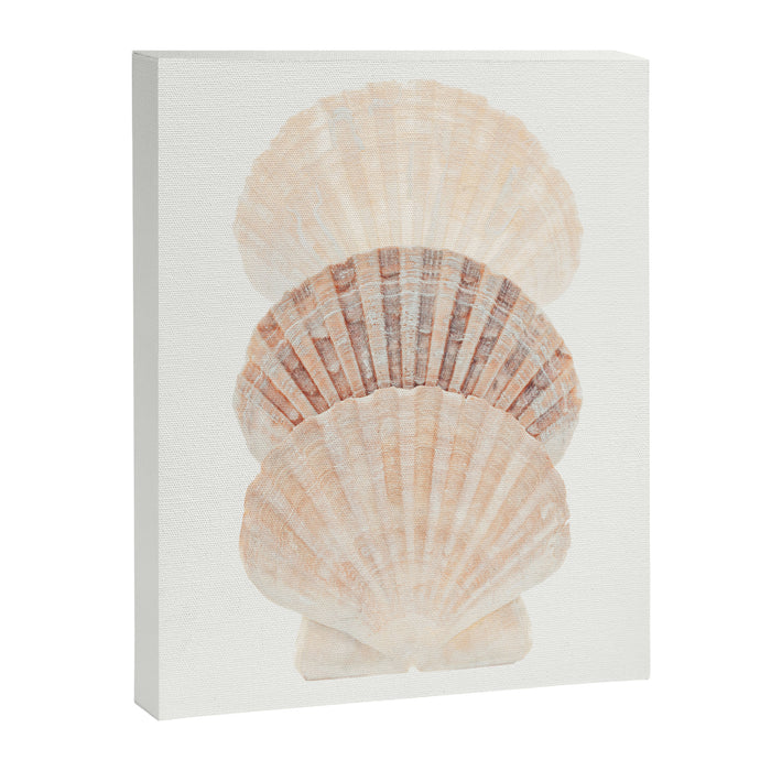 Beige Seashells Canvas Print Gallery Image 1