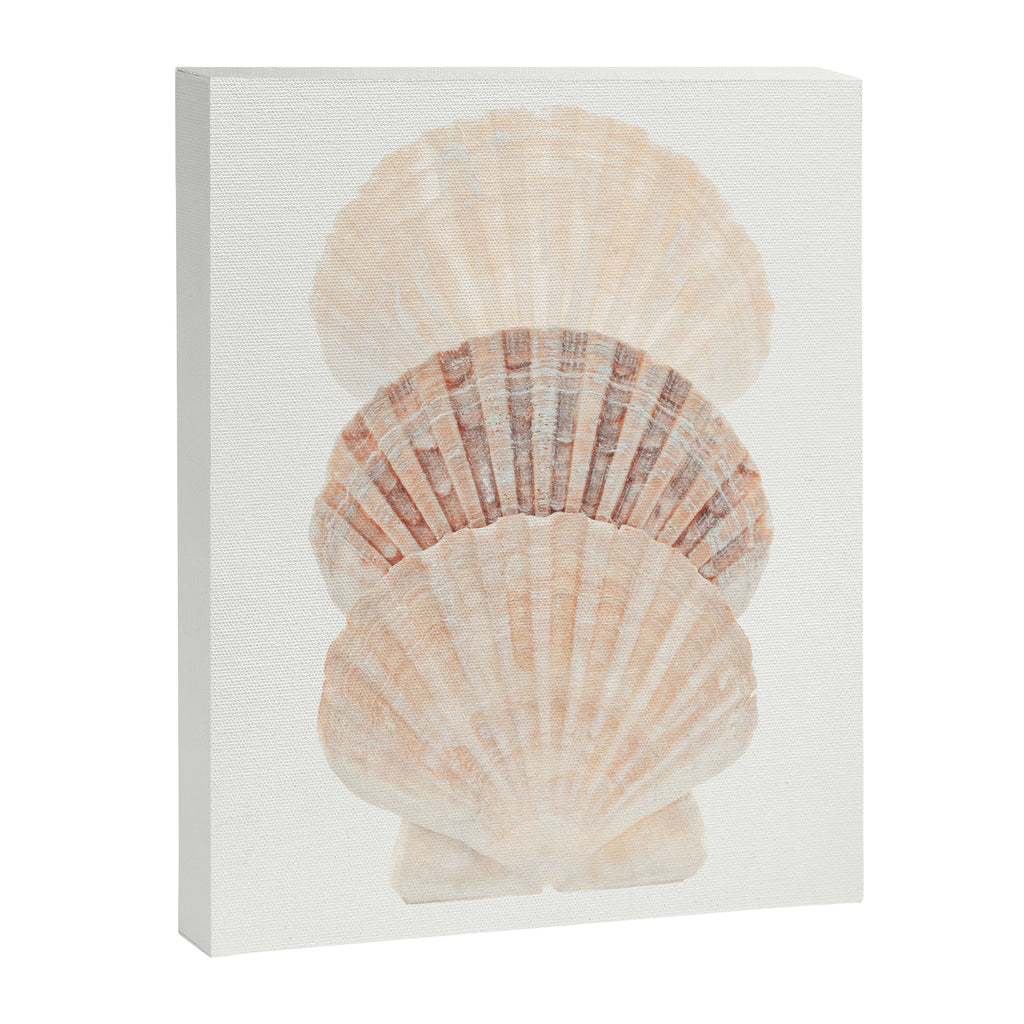Beige Seashells Canvas Print Gallery Image 6