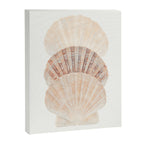Beige Seashells Canvas Print Gallery Image 6