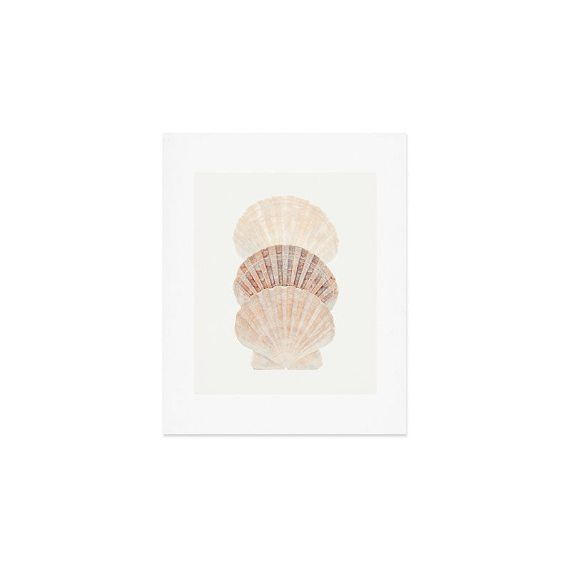 Beige Seashells Art Print Gallery Image 1