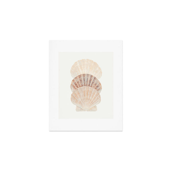 Beige Seashells Art Print Gallery Image 1