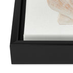 Beige Seashells Framed Canvas Print Gallery Image 3