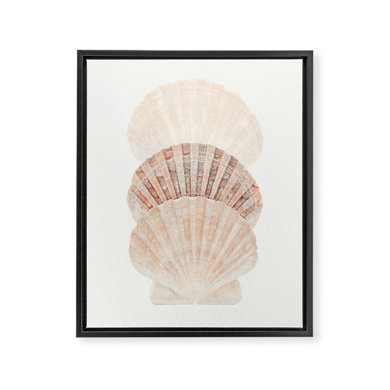 Beige Seashells Framed Canvas Print Gallery Image 6