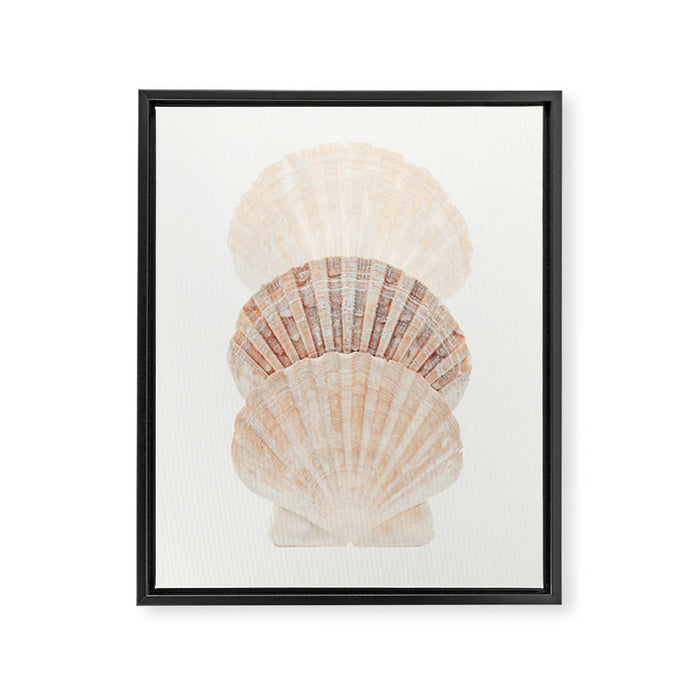 Beige Seashells Framed Canvas Print Gallery Image 1