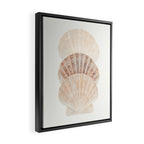 Beige Seashells Framed Canvas Print Gallery Image 2