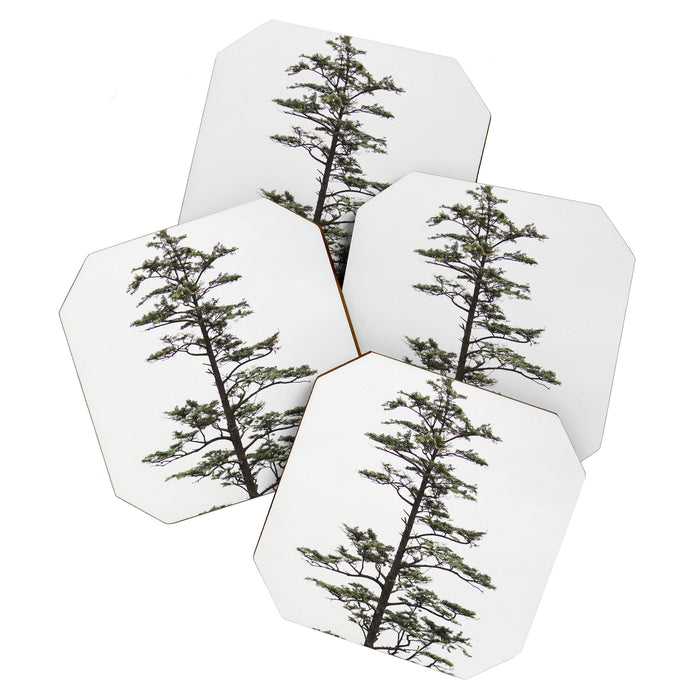 Oregon Coast #2 - Nature, Landscape Photography Coaster Gallery Image 1