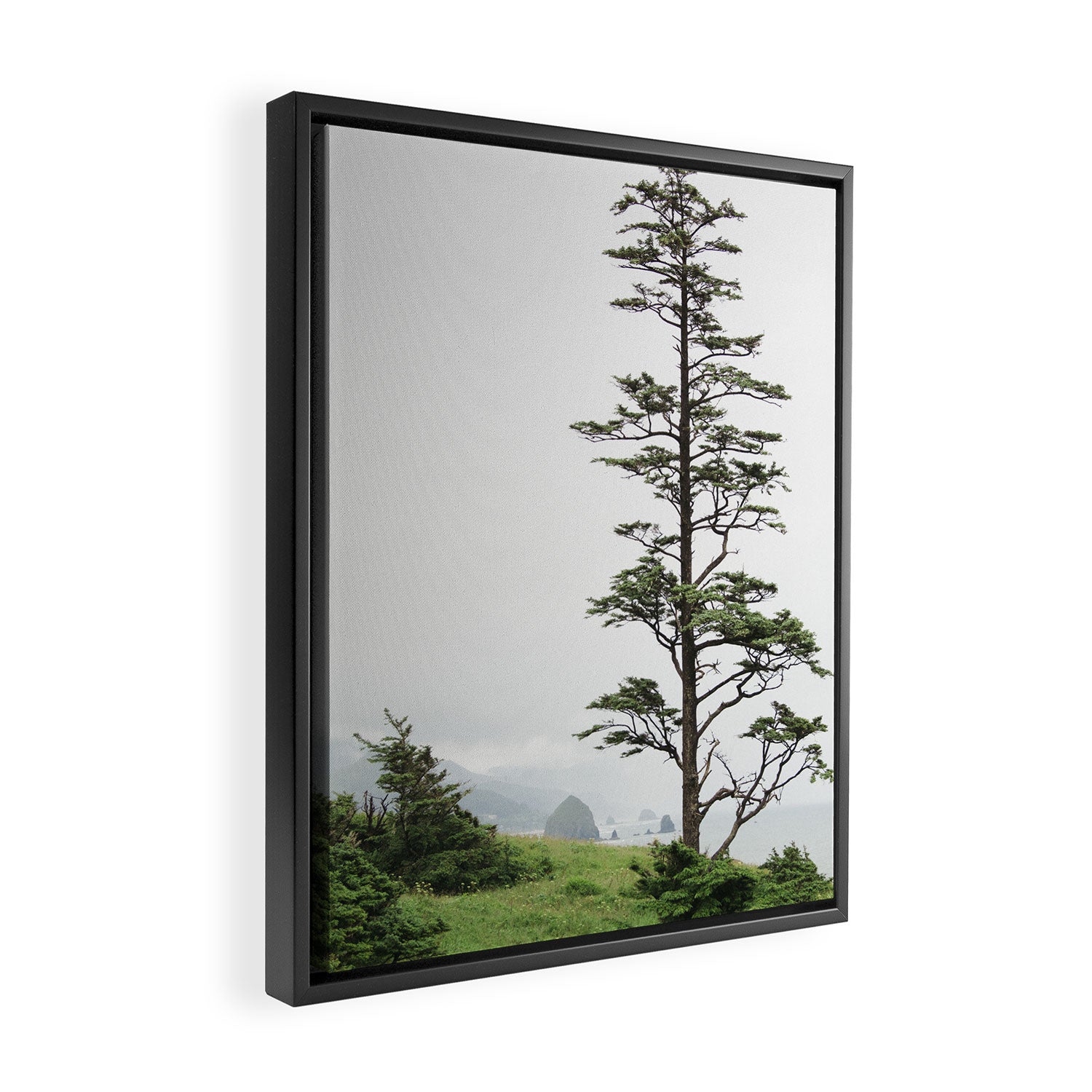 Oregon Coast #2 - Nature, Landscape Photography Framed Canvas Print Gallery Image 2