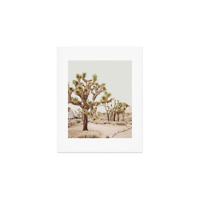 Pale Desert 2 - Joshua Tree Cactus Landscape Photography Art Print Gallery Image 1