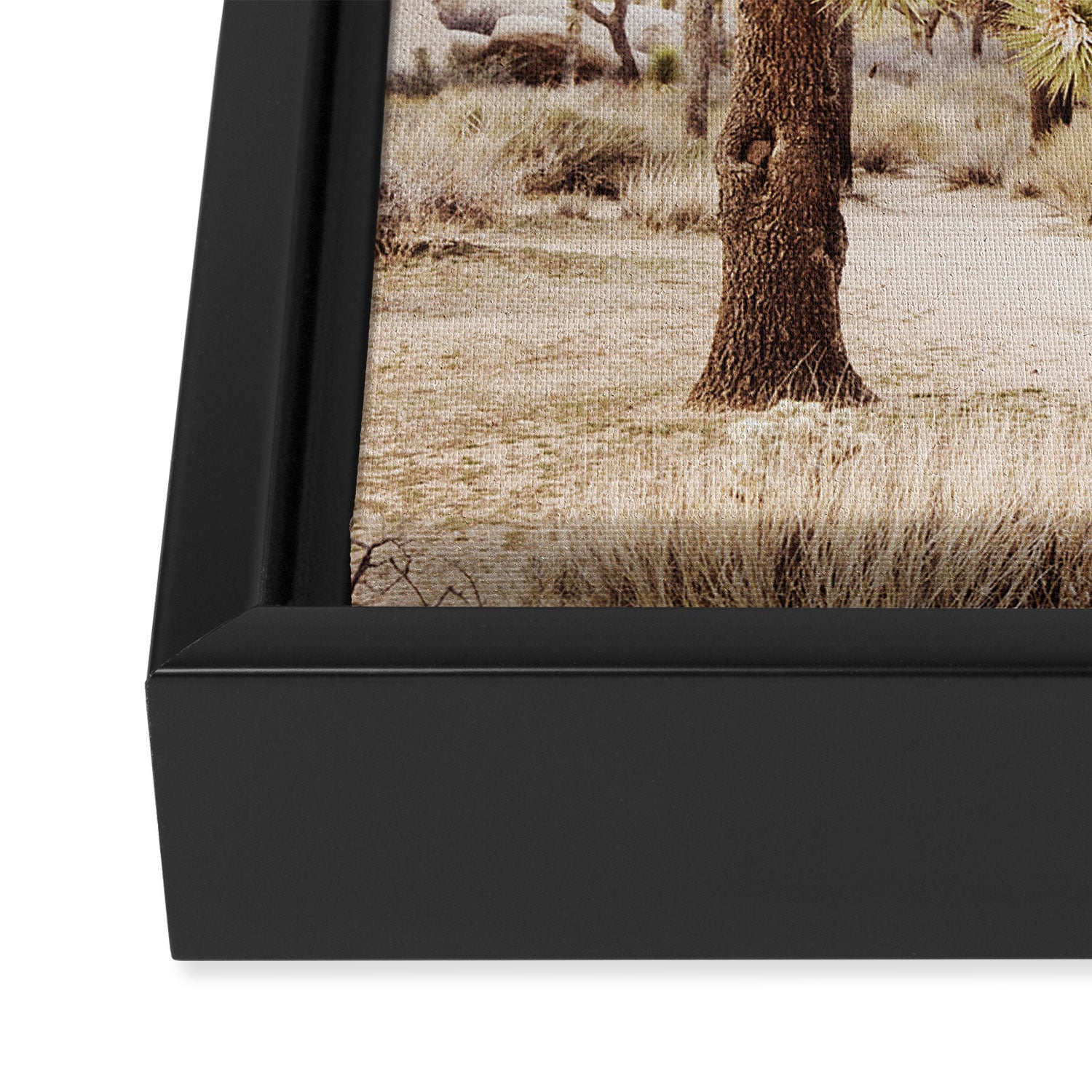Pale Desert 2 - Joshua Tree Cactus Landscape Photography Framed Canvas Print Gallery Image 3