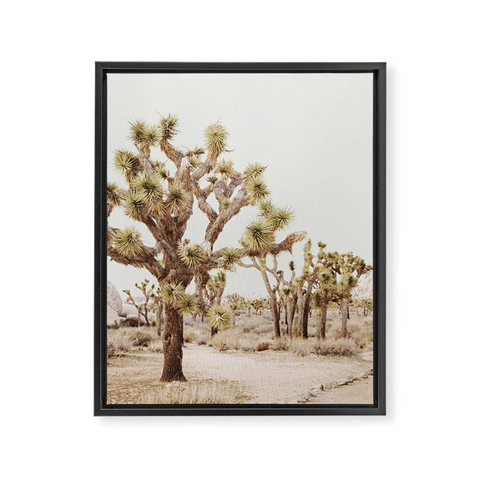Pale Desert 2 - Joshua Tree Cactus Landscape Photography Framed Canvas Print Gallery Image 1