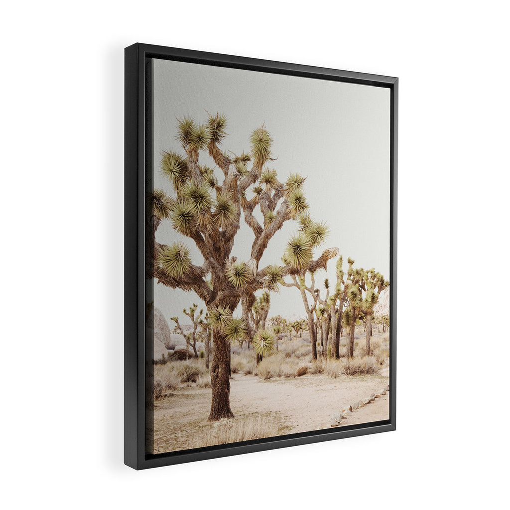 Pale Desert 2 - Joshua Tree Cactus Landscape Photography Framed Canvas Print Gallery Image 2