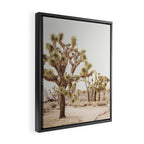 Pale Desert 2 - Joshua Tree Cactus Landscape Photography Framed Canvas Print Gallery Image 2