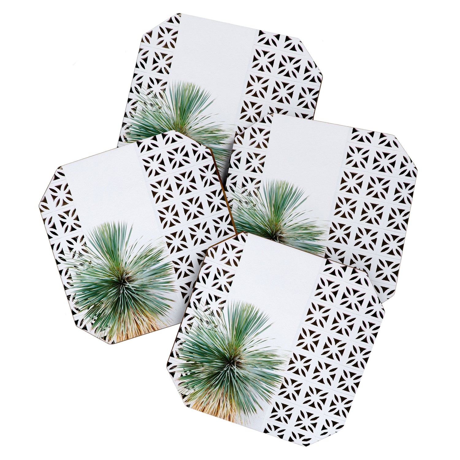 Palm Springs Cactus Coaster Gallery Image 1