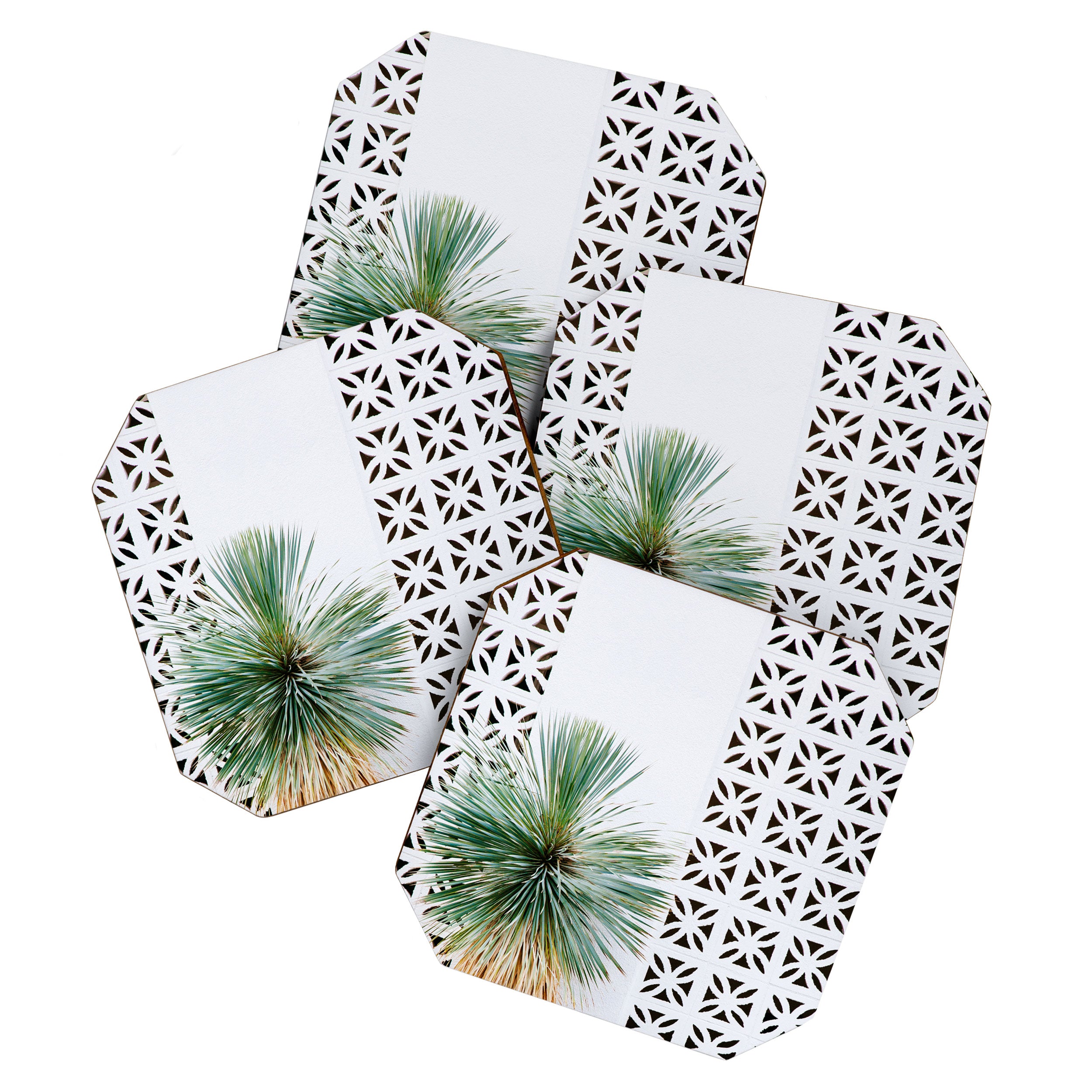 Palm Springs Cactus Coaster Gallery Image 1
