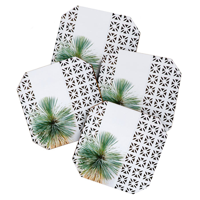 Palm Springs Cactus Coaster Gallery Image 1