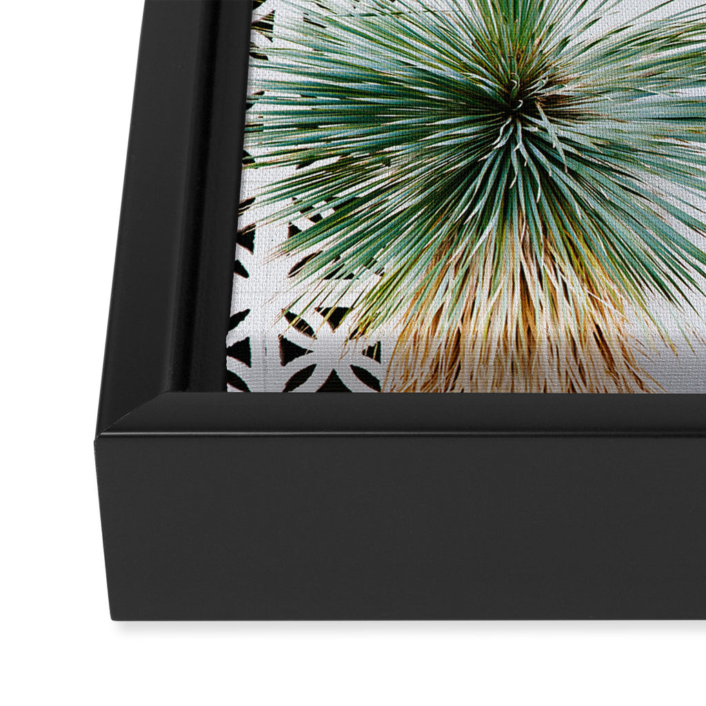 Palm Springs Cactus Framed Canvas Print Gallery Image 3
