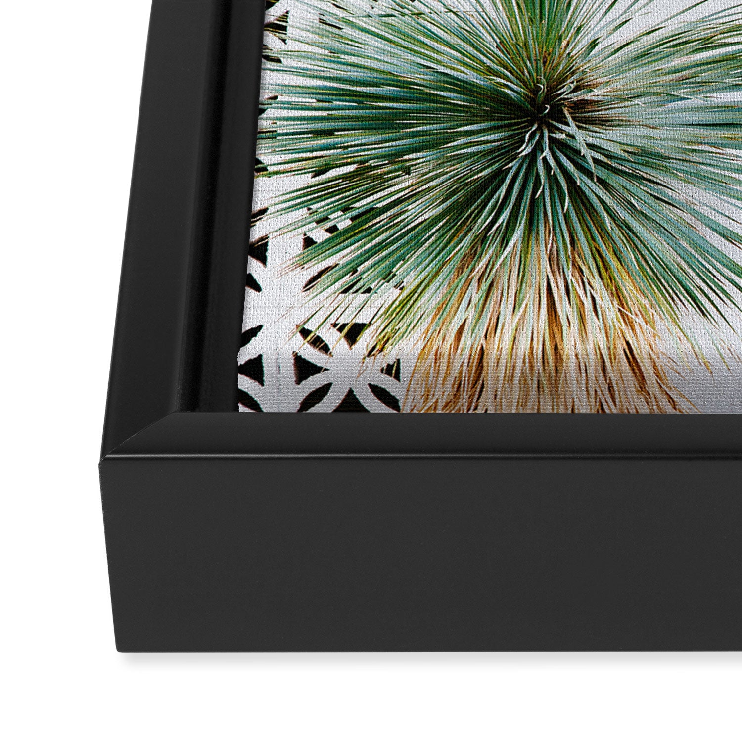 Palm Springs Cactus Framed Canvas Print Gallery Image 3