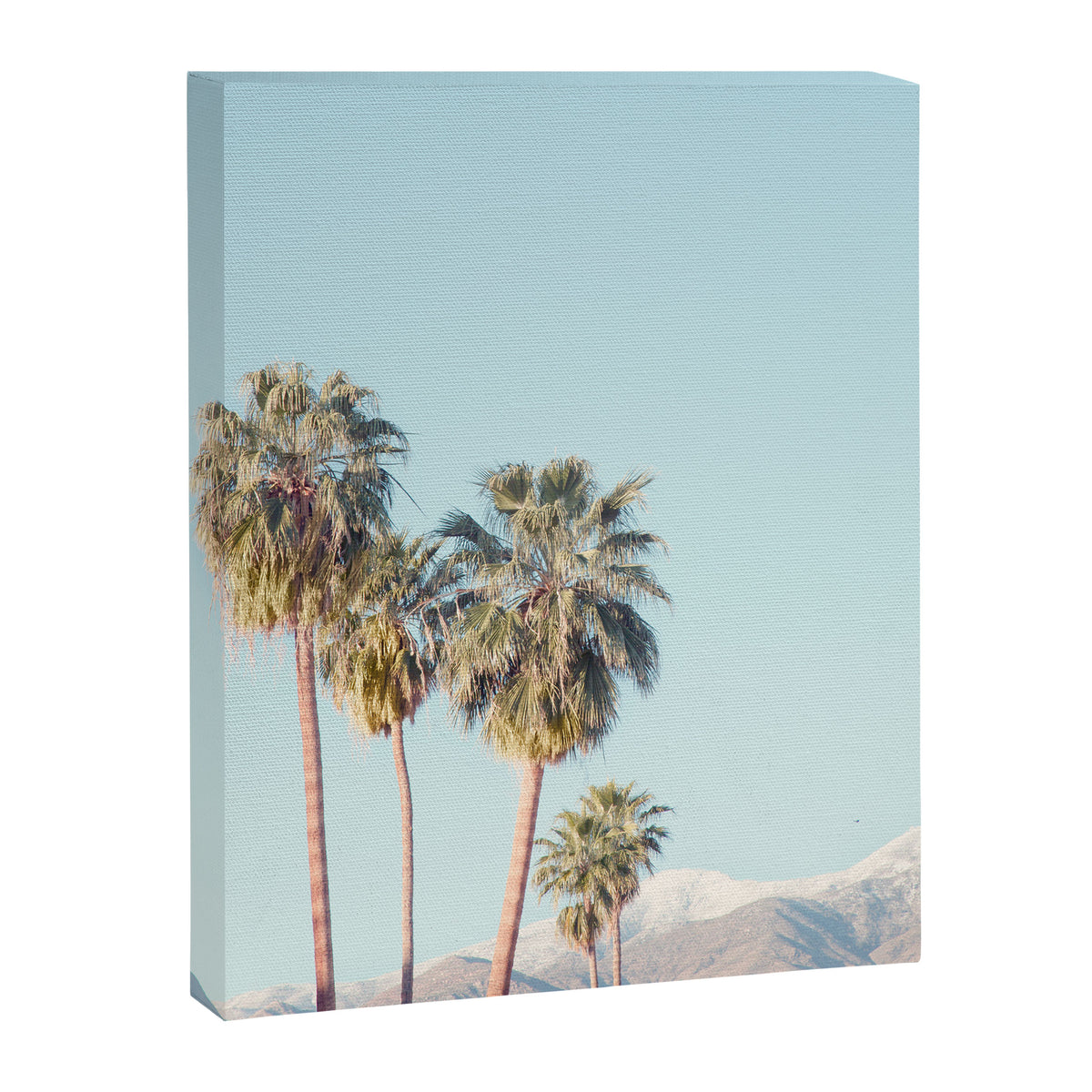 Palm Springs Palm Trees Canvas Print Gallery Image 6