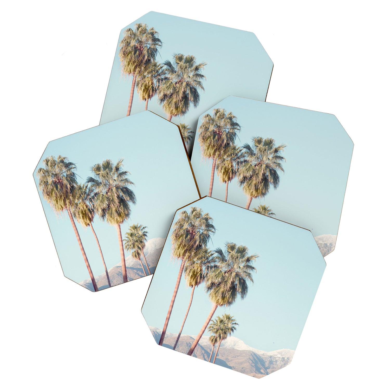 Palm Springs Palm Trees Coaster Gallery Image 1