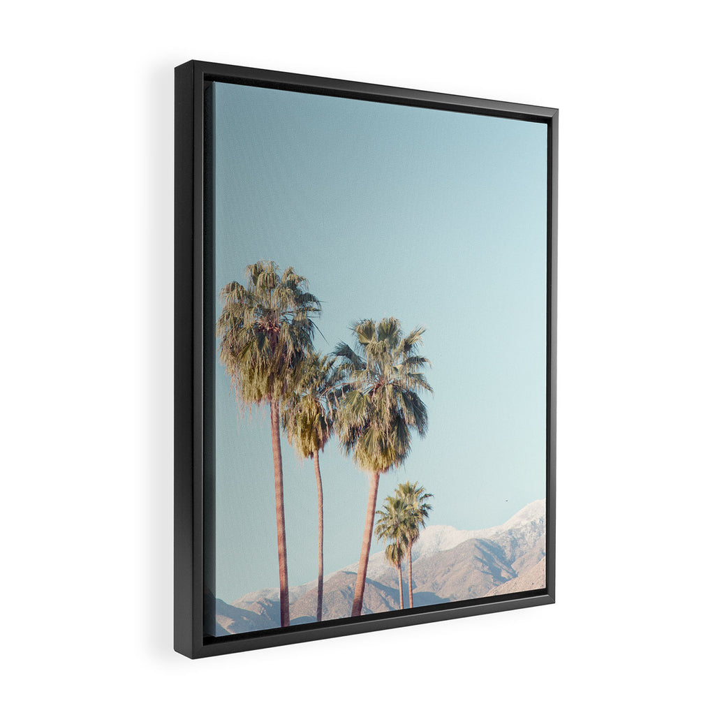 Palm Springs Palm Trees Framed Canvas Print Gallery Image 2