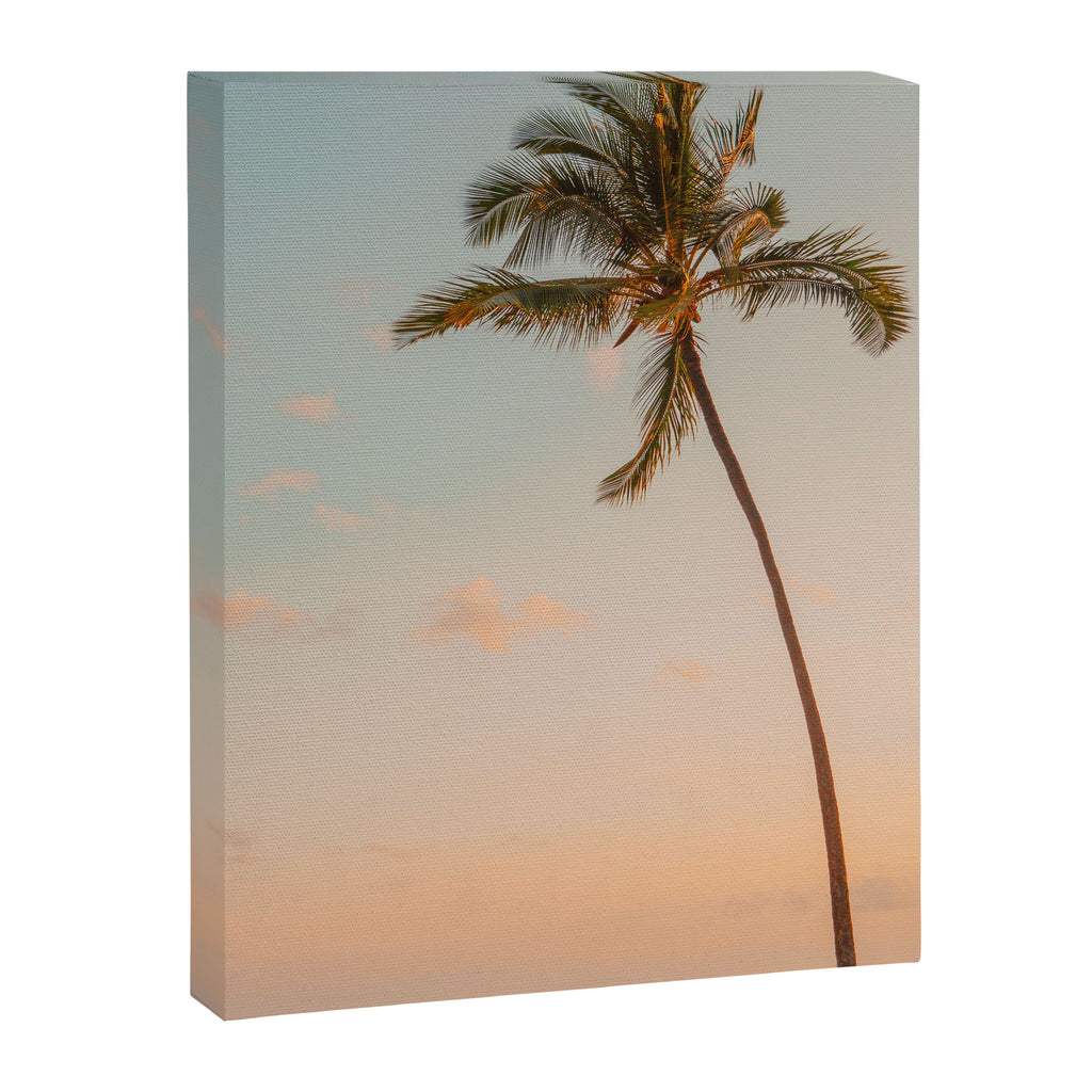 Palm Tree Sunset - Hawaii Tropical Nature Photography Canvas Print Gallery Image 6
