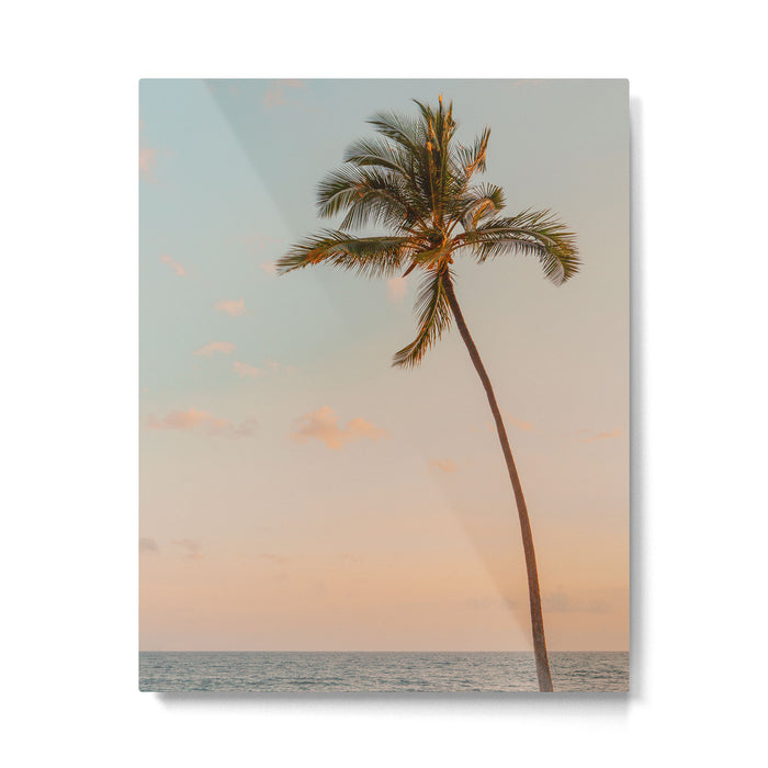Palm Tree Sunset - Hawaii Tropical Nature Photography Metal Print Gallery Image 1