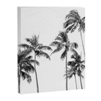 Palm Trees - Black and White Photography Canvas Print Gallery Image 6