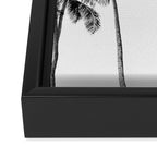 Palm Trees - Black and White Photography Framed Canvas Print Gallery Image 3