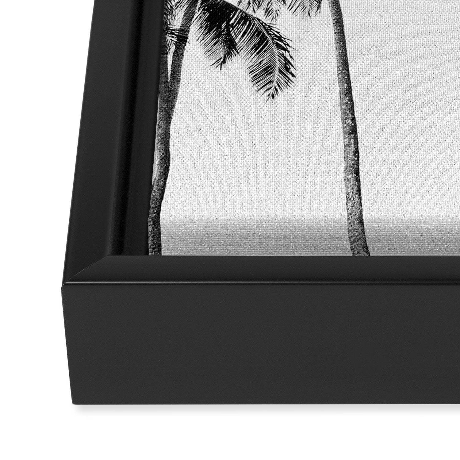 Palm Trees - Black and White Photography Framed Canvas Print Gallery Image 3