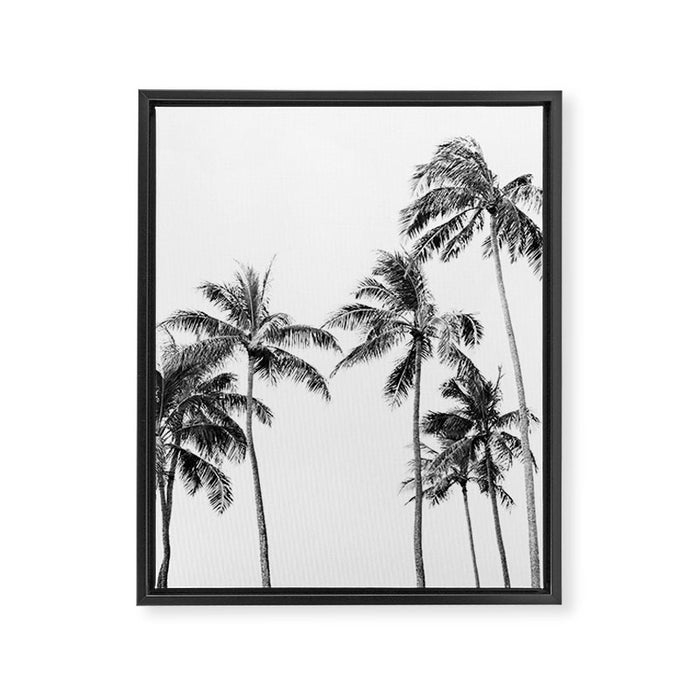 Palm Trees - Black and White Photography Framed Canvas Print Gallery Image 1