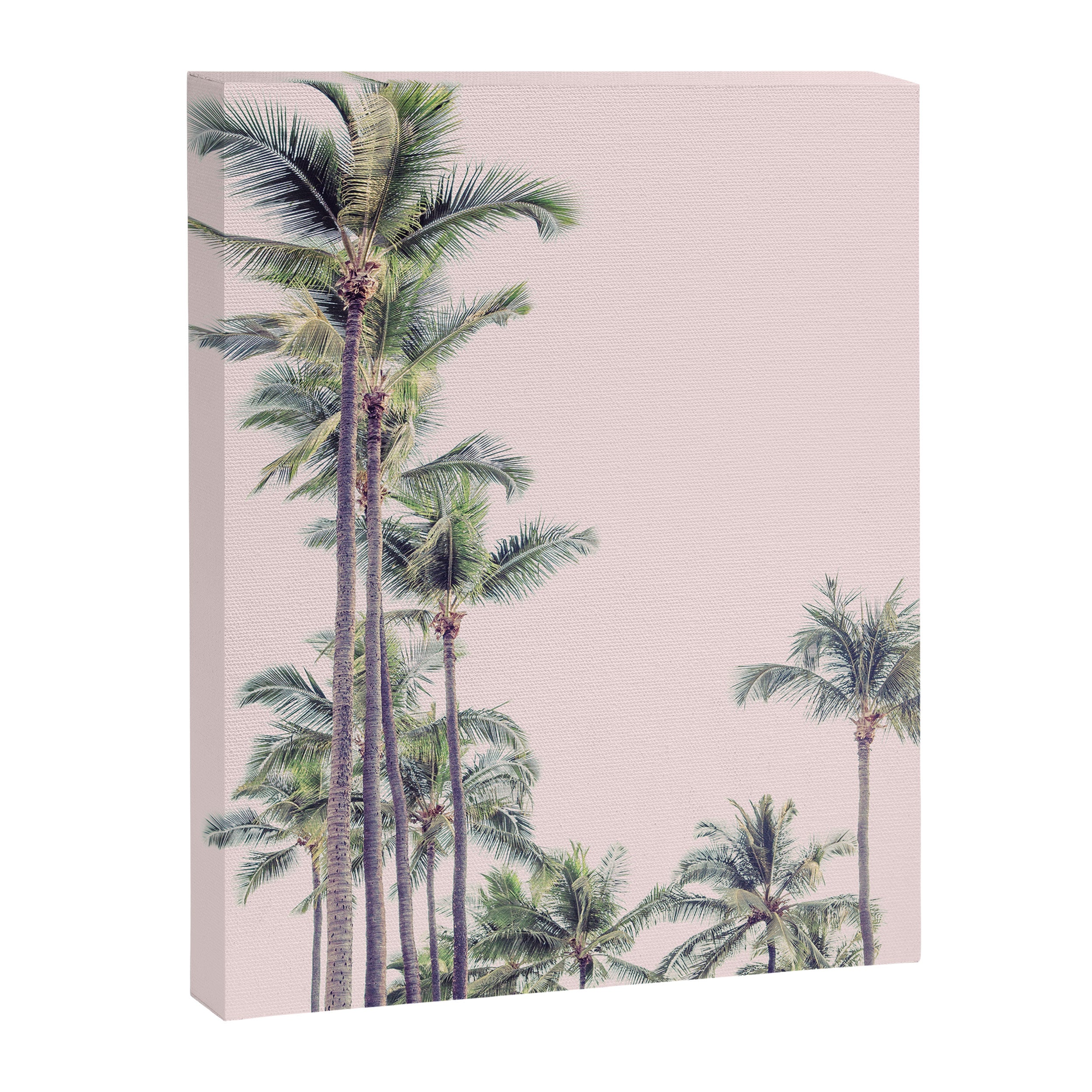 Palm Trees in La La Land - California Photography Canvas Print Gallery Image 6