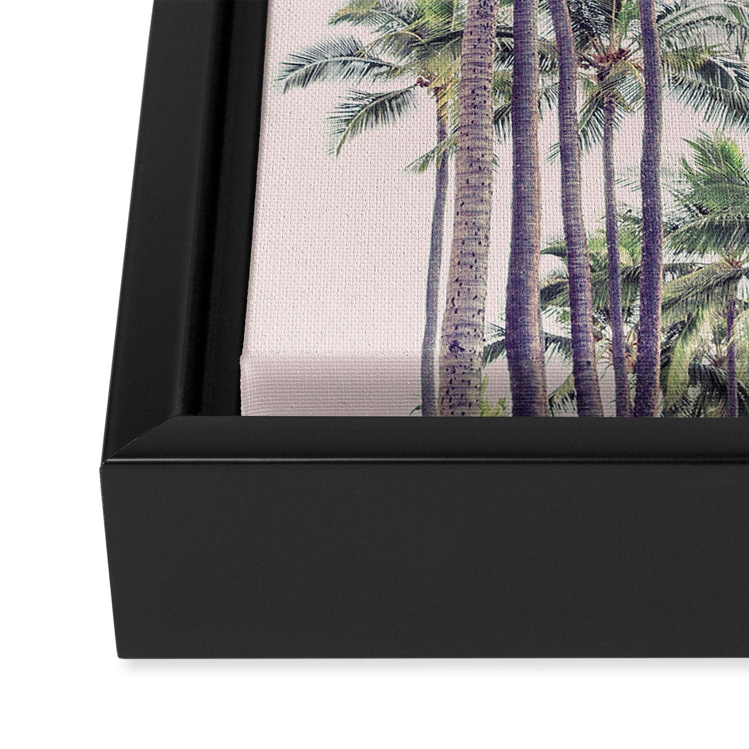 Palm Trees in La La Land - California Photography Framed Canvas Print Gallery Image 3