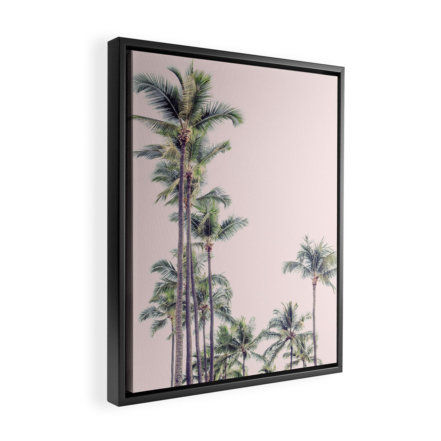 Palm Trees in La La Land - California Photography Framed Canvas Print Gallery Image 2