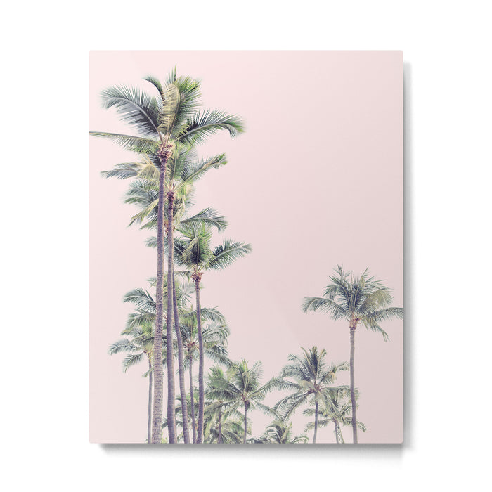Palm Trees in La La Land - California Photography Metal Print Gallery Image 1