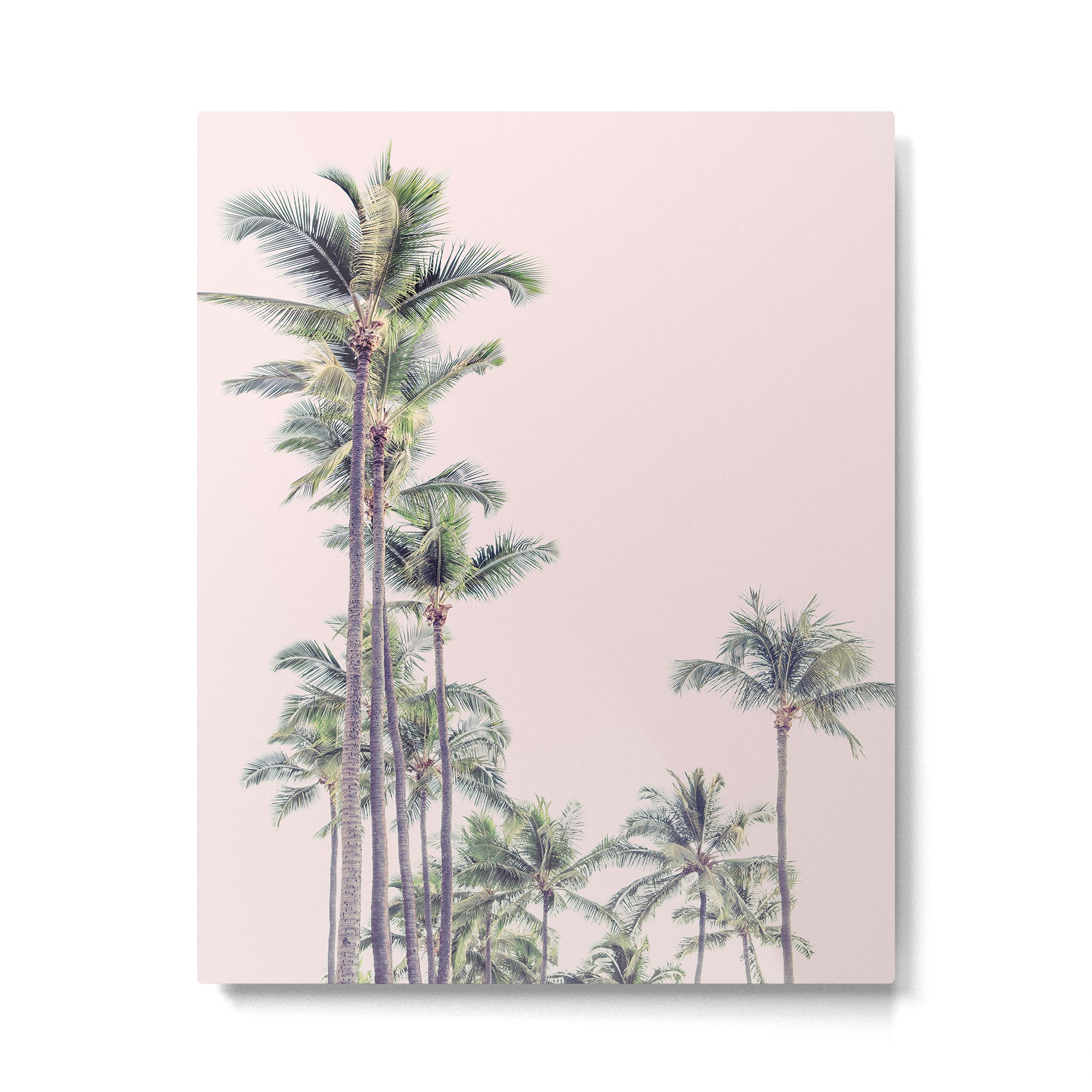 Palm Trees in La La Land - California Photography Metal Print Gallery Image 4