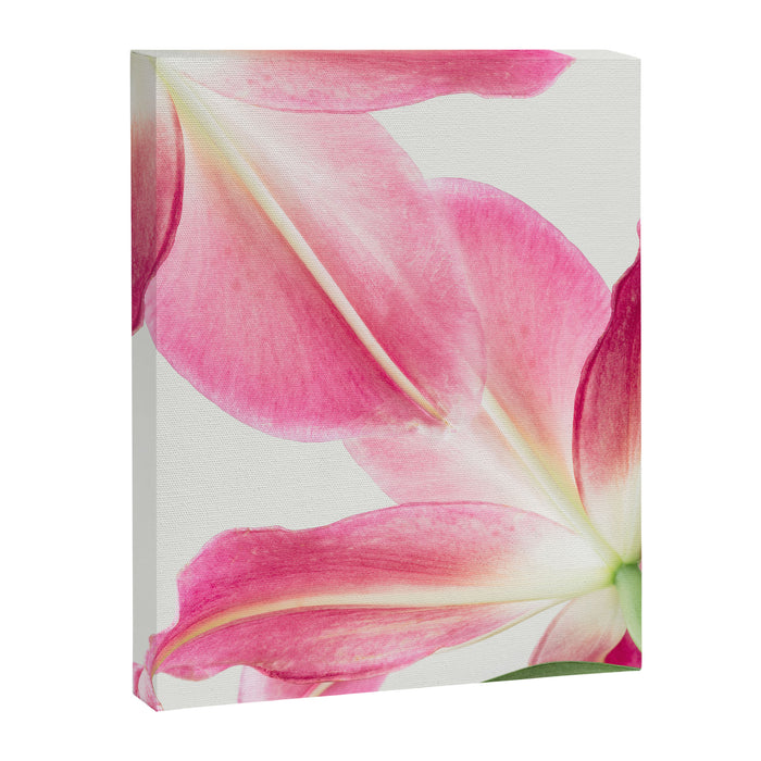 Pink Petals - Flower Photography, Botanical Canvas Print Gallery Image 1