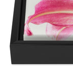Pink Petals - Flower Photography, Botanical Framed Canvas Print Gallery Image 3